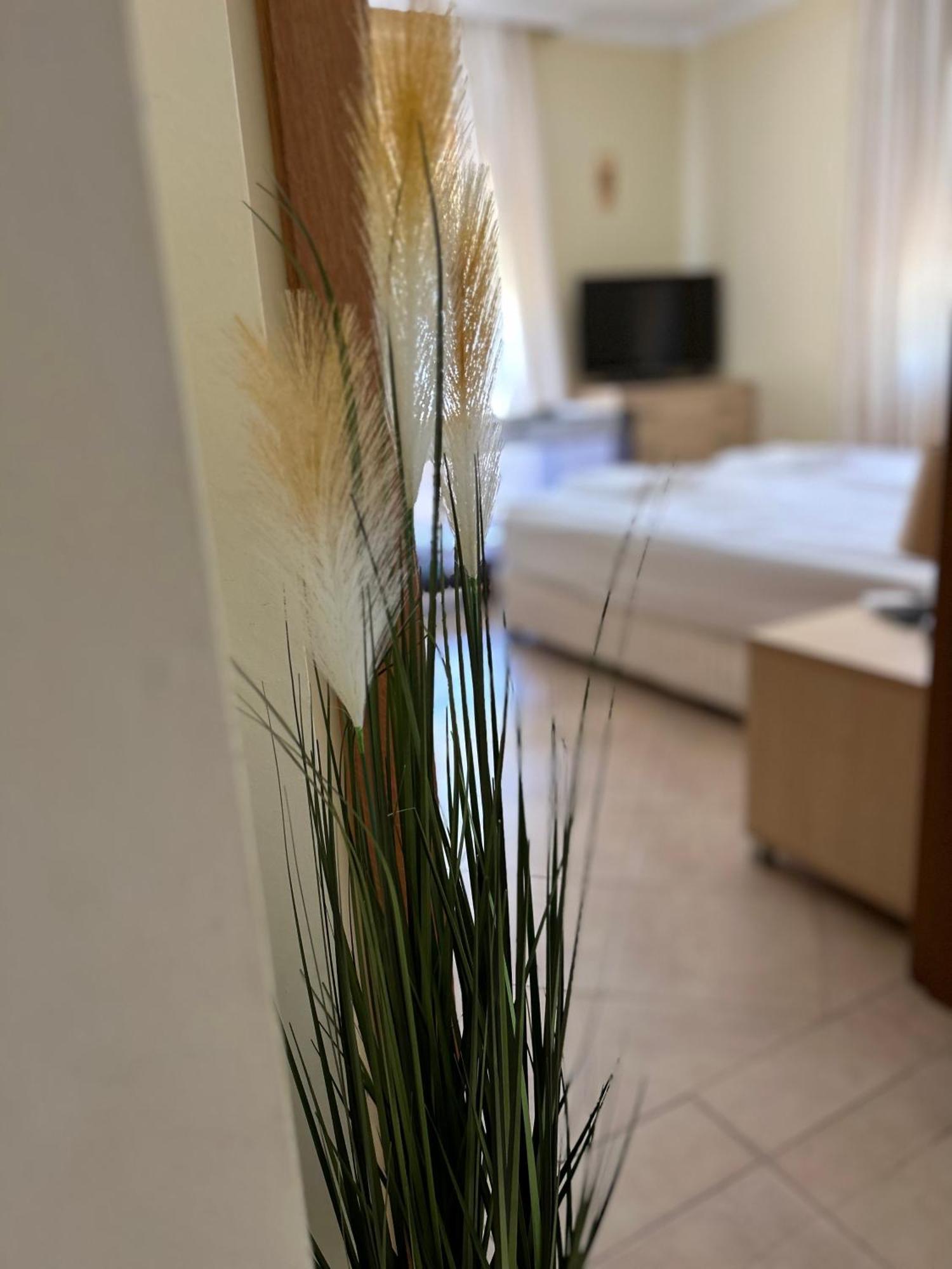 Quiet Apartment With Big Terrace In Santa Marina With Parking Sozopol Ngoại thất bức ảnh
